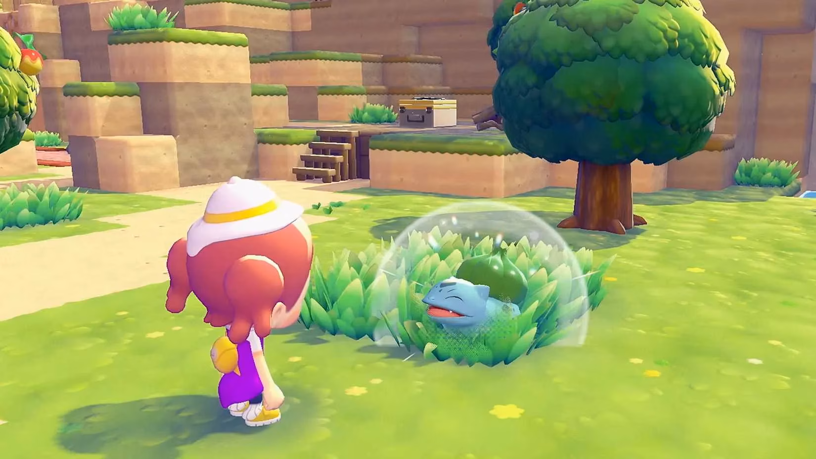 pokemon-pokopia-a-ditto-s-dream-farm-life-image-1