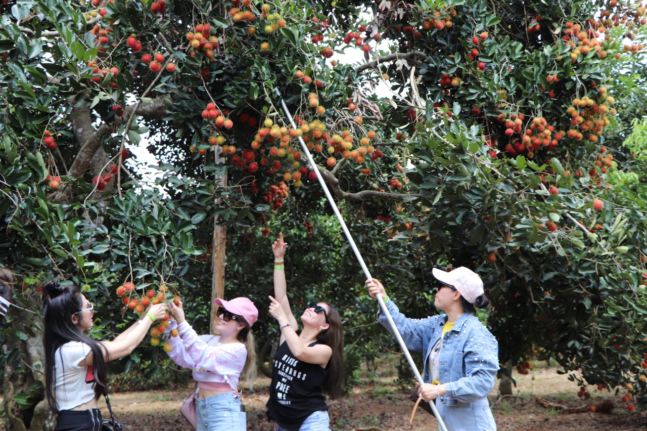 Vườn trái cây Long Khánh nổi tiếng